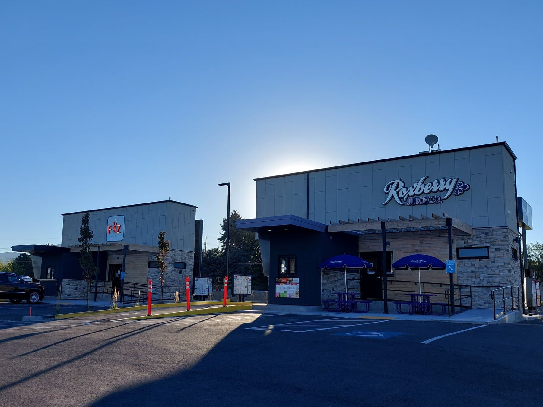 Fiiz Drinks & Roxberry Juice Co.